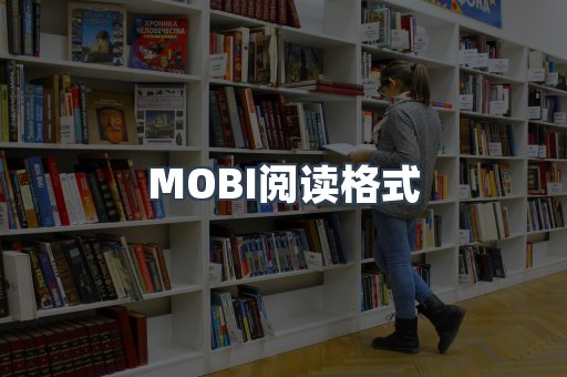 MOBI阅读格式
